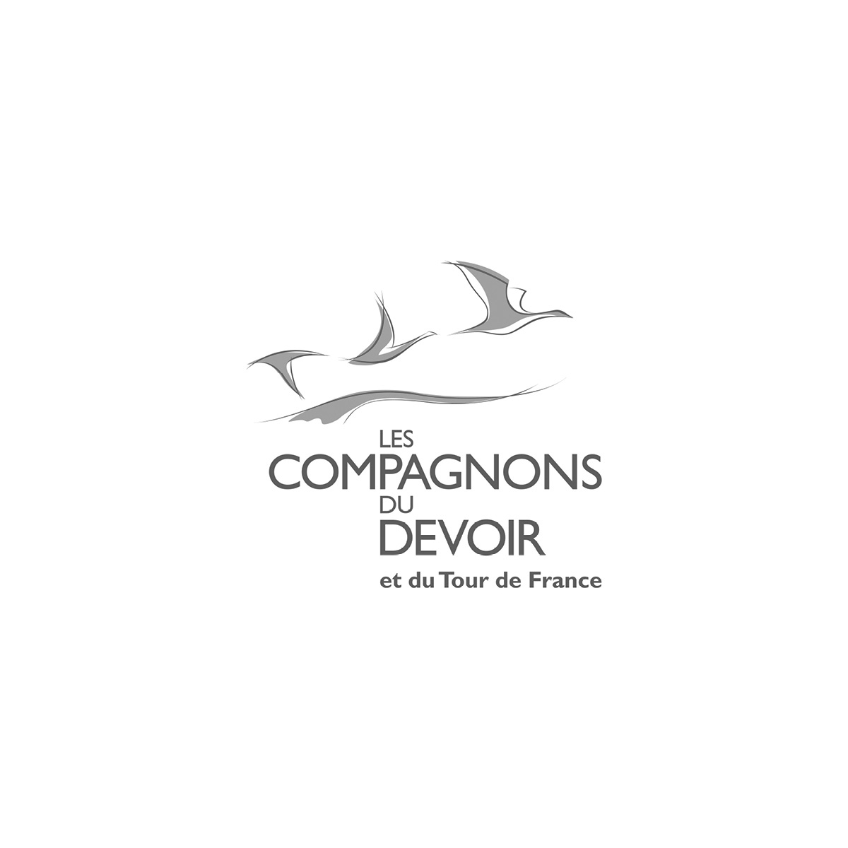 Client Logo