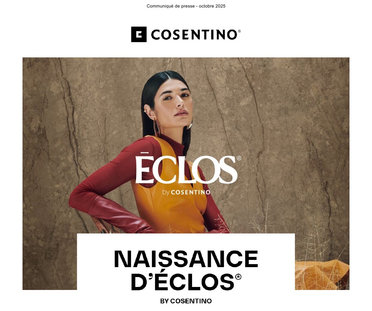 Dossier de presse COSENTINO